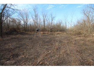 Tract 7 - Montgomery County, Kansas Woods - LAND AUCTION - 1,061+/- ACRES OFFERED IN 15 TRACTS IN MONTGOMERY & LABETTE COUNTIES, KANSAS