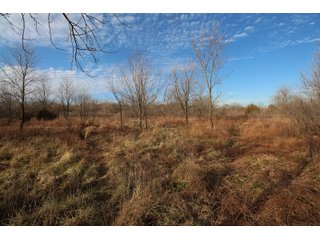 Tract 7 - Montgomery County, Kansas Woods - LAND AUCTION - 1,061+/- ACRES OFFERED IN 15 TRACTS IN MONTGOMERY & LABETTE COUNTIES, KANSAS