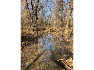 Tract 7 - Montgomery County, Kansas Pond - LAND AUCTION - 1,061+/- ACRES OFFERED IN 15 TRACTS IN MONTGOMERY & LABETTE COUNTIES, KANSAS