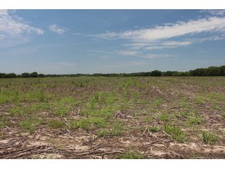 Tract 8 - Montgomery County, Kansas Farmland - LAND AUCTION - 1,061+/- ACRES OFFERED IN 15 TRACTS IN MONTGOMERY & LABETTE COUNTIES, KANSAS