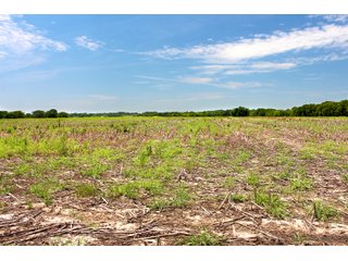 Tract 8 - Montgomery County, Kansas Farmland - LAND AUCTION - 1,061+/- ACRES OFFERED IN 15 TRACTS IN MONTGOMERY & LABETTE COUNTIES, KANSAS