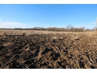 Tract 8 - Montgomery County, Kansas Farmland - LAND AUCTION - 1,061+/- ACRES OFFERED IN 15 TRACTS IN MONTGOMERY & LABETTE COUNTIES, KANSAS