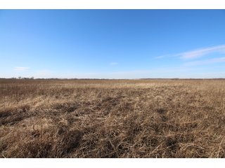 Tract 9 - Labette County, Kansas Farmland - LAND AUCTION - 1,061+/- ACRES OFFERED IN 15 TRACTS IN MONTGOMERY & LABETTE COUNTIES, KANSAS
