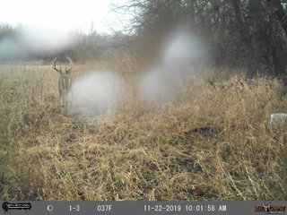 Tract 10 Buck in Labette County, Kansas - LAND AUCTION - 1,061+/- ACRES OFFERED IN 15 TRACTS IN MONTGOMERY & LABETTE COUNTIES, KANSAS