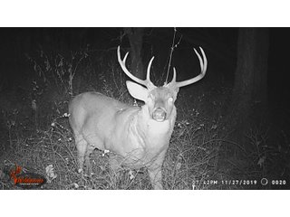 Tract 12 in Labette County, Kansas - LAND AUCTION - 1,061+/- ACRES OFFERED IN 15 TRACTS IN MONTGOMERY & LABETTE COUNTIES, KANSAS