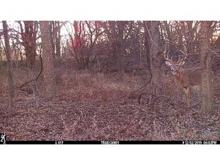 Tract 13 -  in Labette County, Kansas Buck - LAND AUCTION - 1,061+/- ACRES OFFERED IN 15 TRACTS IN MONTGOMERY & LABETTE COUNTIES, KANSAS