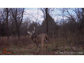 Tract 7 -  in Montgomery County, Kansas Buck - LAND AUCTION - 1,061+/- ACRES OFFERED IN 15 TRACTS IN MONTGOMERY & LABETTE COUNTIES, KANSAS