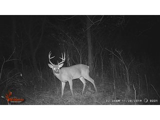 Tract 7 -  in Montgomery County, Kansas Buck - LAND AUCTION - 1,061+/- ACRES OFFERED IN 15 TRACTS IN MONTGOMERY & LABETTE COUNTIES, KANSAS