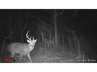 Tract 7 -  in Montgomery County, Kansas Buck - LAND AUCTION - 1,061+/- ACRES OFFERED IN 15 TRACTS IN MONTGOMERY & LABETTE COUNTIES, KANSAS