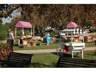 Elkhart County, Indiana Business Opportunity - ONE OF A KIND, HISTORIC REAL ESTATE AUCTION - 28+/- ACRES OFFERED IN 16 TRACTS IN ELKHART COUNTY, INDIANA