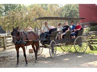 Elkhart County, Indiana horsedrawn carriage - ONE OF A KIND, HISTORIC REAL ESTATE AUCTION - 28+/- ACRES OFFERED IN 16 TRACTS IN ELKHART COUNTY, INDIANA