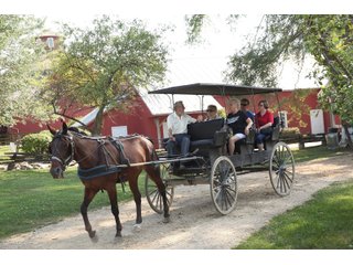Elkhart County, Indiana horsedrawn carriage - ONE OF A KIND, HISTORIC REAL ESTATE AUCTION - 28+/- ACRES OFFERED IN 16 TRACTS IN ELKHART COUNTY, INDIANA