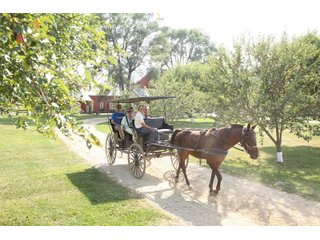 Elkhart County, Indiana horsedrawn carriage - ONE OF A KIND, HISTORIC REAL ESTATE AUCTION - 28+/- ACRES OFFERED IN 16 TRACTS IN ELKHART COUNTY, INDIANA