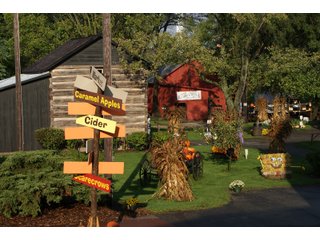 Elkhart County, Indiana Business Opportunity - ONE OF A KIND, HISTORIC REAL ESTATE AUCTION - 28+/- ACRES OFFERED IN 16 TRACTS IN ELKHART COUNTY, INDIANA