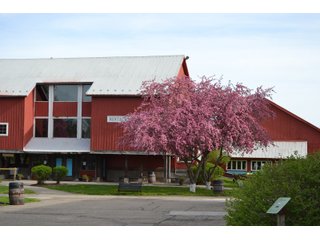 Elkhart County, Indiana Business - ONE OF A KIND, HISTORIC REAL ESTATE AUCTION - 28+/- ACRES OFFERED IN 16 TRACTS IN ELKHART COUNTY, INDIANA