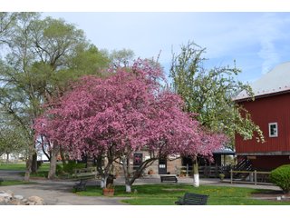 Elkhart County, Indiana - ONE OF A KIND, HISTORIC REAL ESTATE AUCTION - 28+/- ACRES OFFERED IN 16 TRACTS IN ELKHART COUNTY, INDIANA