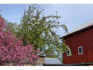 Elkhart County, Indiana Business - ONE OF A KIND, HISTORIC REAL ESTATE AUCTION - 28+/- ACRES OFFERED IN 16 TRACTS IN ELKHART COUNTY, INDIANA