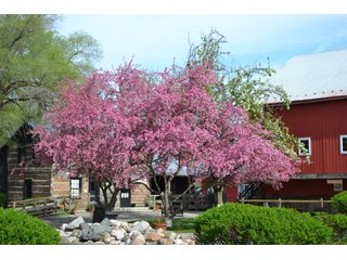 Elkhart County, Indiana - ONE OF A KIND, HISTORIC REAL ESTATE AUCTION - 28+/- ACRES OFFERED IN 16 TRACTS IN ELKHART COUNTY, INDIANA