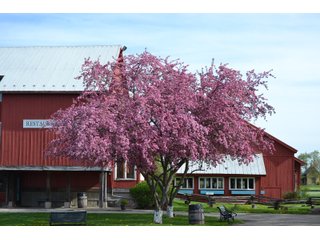 Elkhart County, Indiana - ONE OF A KIND, HISTORIC REAL ESTATE AUCTION - 28+/- ACRES OFFERED IN 16 TRACTS IN ELKHART COUNTY, INDIANA
