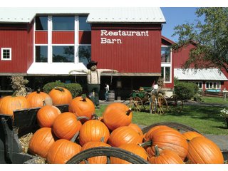 Elkhart County, Indiana Business - ONE OF A KIND, HISTORIC REAL ESTATE AUCTION - 28+/- ACRES OFFERED IN 16 TRACTS IN ELKHART COUNTY, INDIANA