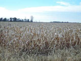 Property photo 1 - LAND AUCTION - 63+/- ACRES OFFERED IN 3 TRACTS OR COMBINATIONS IN RANDOLPH COUNTY, INDIANA