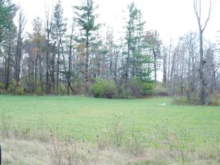 Property photo 5 - LAND AUCTION - 63+/- ACRES OFFERED IN 3 TRACTS OR COMBINATIONS IN RANDOLPH COUNTY, INDIANA