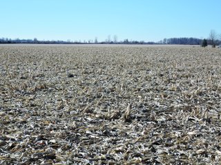 Property photo 19 - LAND AUCTION - 63+/- ACRES OFFERED IN 3 TRACTS OR COMBINATIONS IN RANDOLPH COUNTY, INDIANA