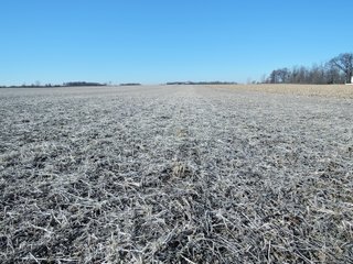 Property photo 18 - LAND AUCTION - 63+/- ACRES OFFERED IN 3 TRACTS OR COMBINATIONS IN RANDOLPH COUNTY, INDIANA