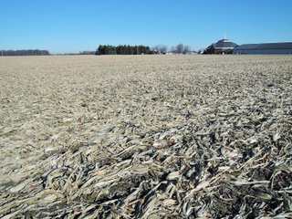 Property photo 17 - LAND AUCTION - 63+/- ACRES OFFERED IN 3 TRACTS OR COMBINATIONS IN RANDOLPH COUNTY, INDIANA
