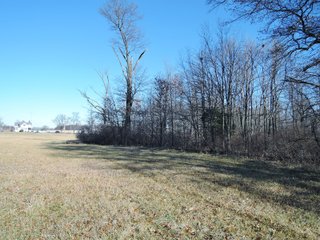 Property photo 15 - LAND AUCTION - 63+/- ACRES OFFERED IN 3 TRACTS OR COMBINATIONS IN RANDOLPH COUNTY, INDIANA