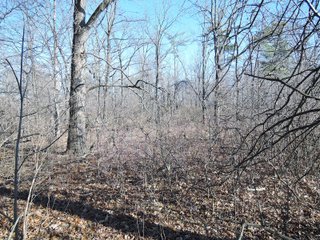 Property photo 8 - LAND AUCTION - 63+/- ACRES OFFERED IN 3 TRACTS OR COMBINATIONS IN RANDOLPH COUNTY, INDIANA