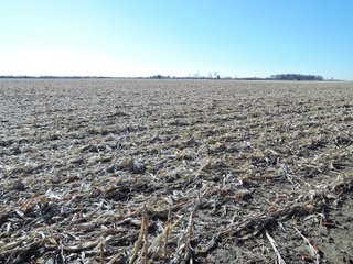 Property photo 9 - LAND AUCTION - 63+/- ACRES OFFERED IN 3 TRACTS OR COMBINATIONS IN RANDOLPH COUNTY, INDIANA