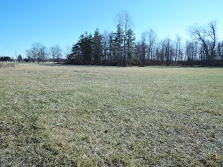 Property photo 3 - LAND AUCTION - 63+/- ACRES OFFERED IN 3 TRACTS OR COMBINATIONS IN RANDOLPH COUNTY, INDIANA