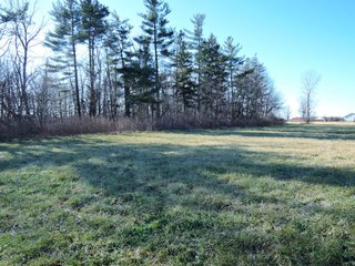 Property photo 12 - LAND AUCTION - 63+/- ACRES OFFERED IN 3 TRACTS OR COMBINATIONS IN RANDOLPH COUNTY, INDIANA