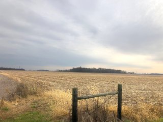 Franklin County, Indiana Farmland - PRIME LAND AUCTION - 234.5+/- ACRES OFFERED IN 6 TRACTS IN FRANKLIN COUNTY, INDIANA