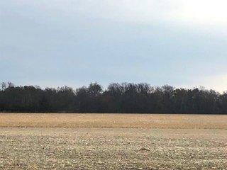 Franklin County, Indiana Farmland - PRIME LAND AUCTION - 234.5+/- ACRES OFFERED IN 6 TRACTS IN FRANKLIN COUNTY, INDIANA