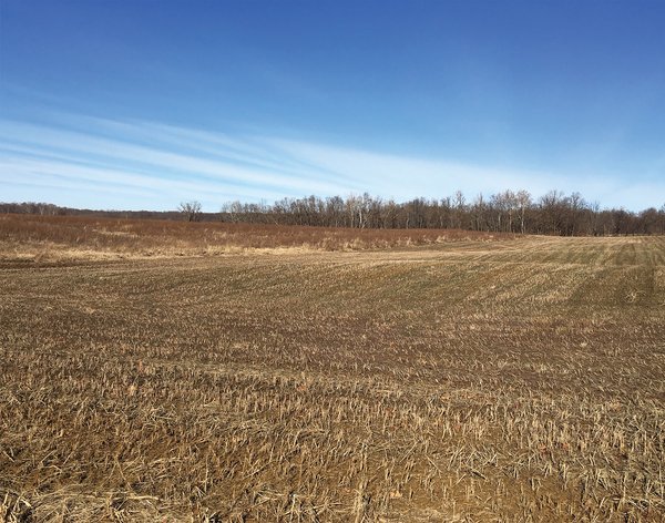 AUCTION IS CANCELED!!
ABSOLUTE LAND AUCTION WITHOUT RESERVE - 204+/- ACRES OFFERED IN 7 TRACTS IN GIBSON & PIKE COUNTIES, INDIANA
