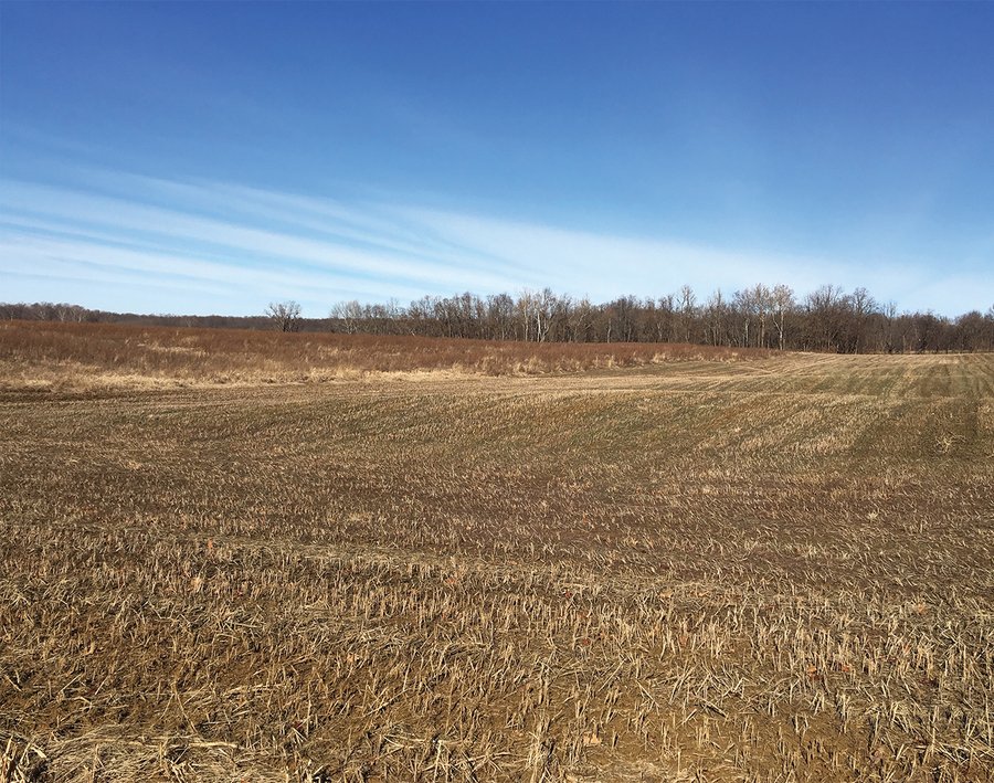 AUCTION IS CANCELED!!
ABSOLUTE LAND AUCTION WITHOUT RESERVE - 204+/- ACRES OFFERED IN 7 TRACTS IN GIBSON & PIKE COUNTIES, INDIANA