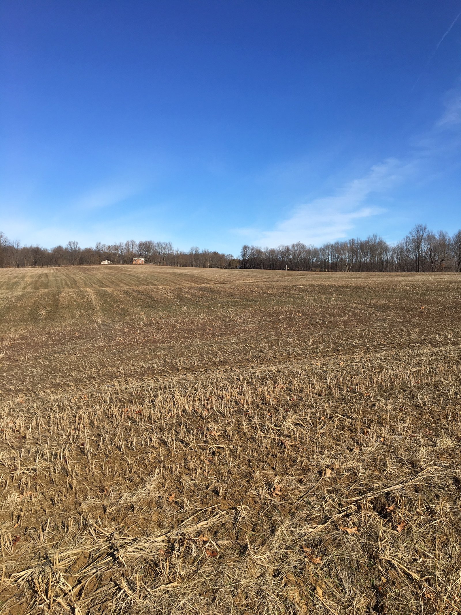 Gibson & Pike Counties, Indiana Farmland - AUCTION IS CANCELED!!
ABSOLUTE LAND AUCTION WITHOUT RESERVE - 204+/- ACRES OFFERED IN 7 TRACTS IN GIBSON & PIKE COUNTIES, INDIANA