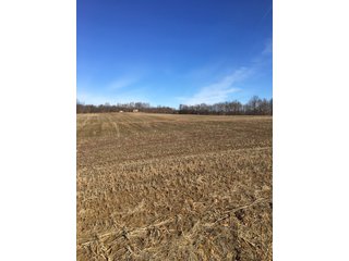 Gibson & Pike Counties, Indiana Farmland - AUCTION IS CANCELED!!
ABSOLUTE LAND AUCTION WITHOUT RESERVE - 204+/- ACRES OFFERED IN 7 TRACTS IN GIBSON & PIKE COUNTIES, INDIANA