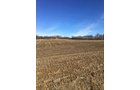 Gibson & Pike Counties, Indiana Farmland - AUCTION IS CANCELED!!
ABSOLUTE LAND AUCTION WITHOUT RESERVE - 204+/- ACRES OFFERED IN 7 TRACTS IN GIBSON & PIKE COUNTIES, INDIANA