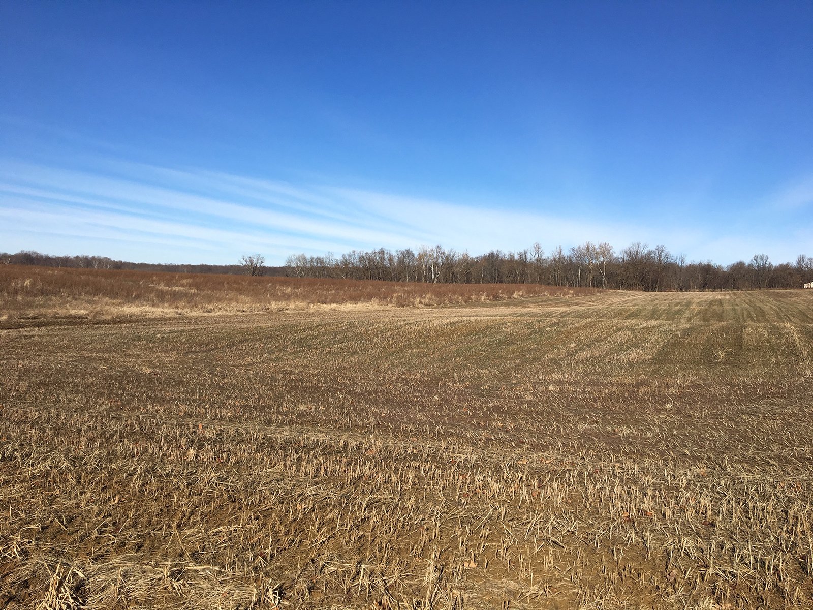 Gibson & Pike Counties, Indiana Farmland - AUCTION IS CANCELED!!
ABSOLUTE LAND AUCTION WITHOUT RESERVE - 204+/- ACRES OFFERED IN 7 TRACTS IN GIBSON & PIKE COUNTIES, INDIANA