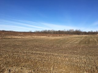 Gibson & Pike Counties, Indiana Farmland - AUCTION IS CANCELED!!
ABSOLUTE LAND AUCTION WITHOUT RESERVE - 204+/- ACRES OFFERED IN 7 TRACTS IN GIBSON & PIKE COUNTIES, INDIANA