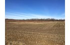 Gibson & Pike Counties, Indiana Farmland - AUCTION IS CANCELED!!
ABSOLUTE LAND AUCTION WITHOUT RESERVE - 204+/- ACRES OFFERED IN 7 TRACTS IN GIBSON & PIKE COUNTIES, INDIANA