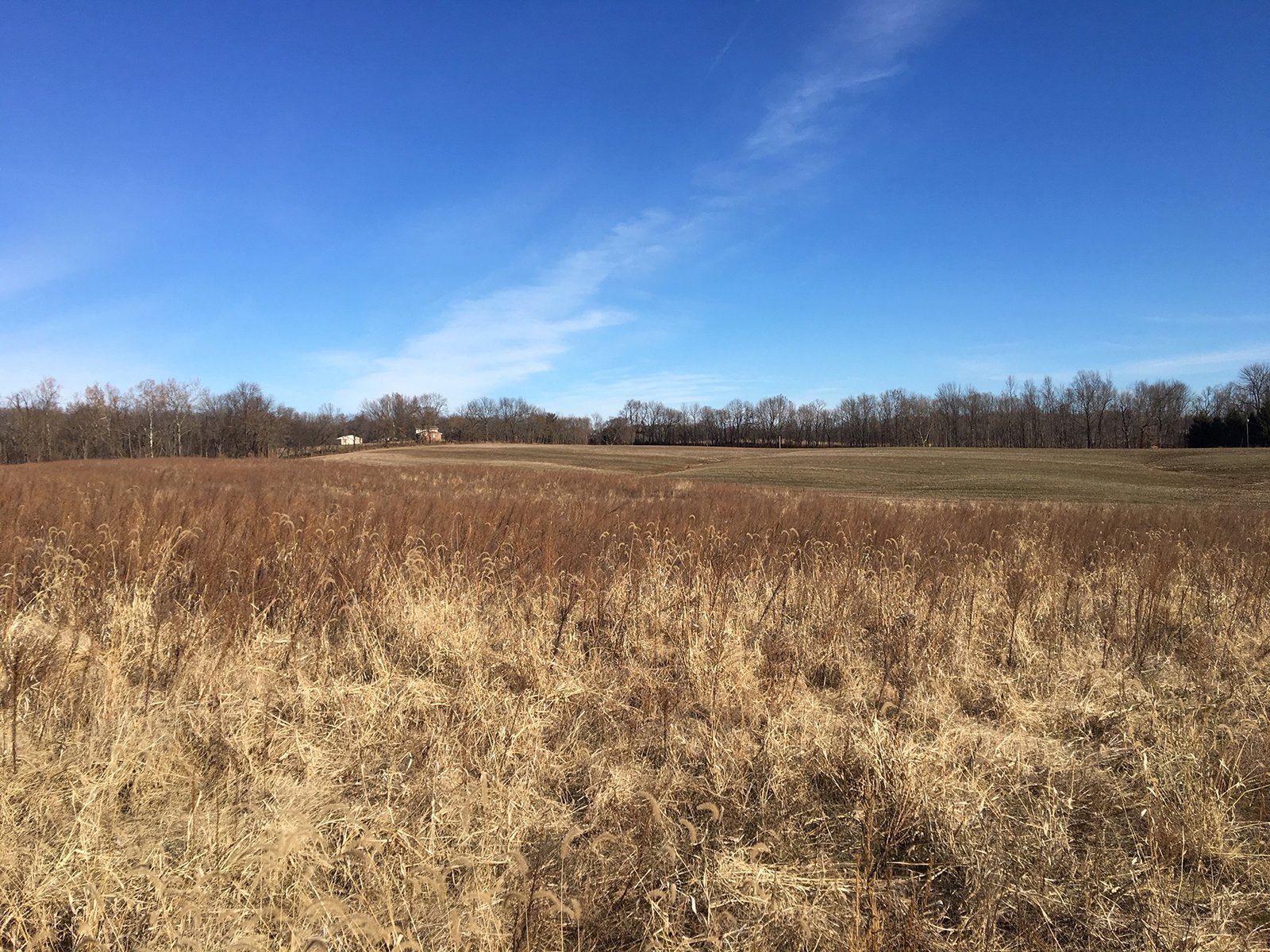 Tract 1 - Gibson & Pike Counties, Indiana Farmland - AUCTION IS CANCELED!!
ABSOLUTE LAND AUCTION WITHOUT RESERVE - 204+/- ACRES OFFERED IN 7 TRACTS IN GIBSON & PIKE COUNTIES, INDIANA