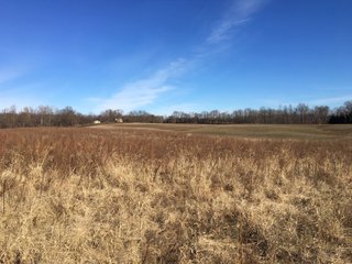 Tract 1 - Gibson & Pike Counties, Indiana Farmland - AUCTION IS CANCELED!!
ABSOLUTE LAND AUCTION WITHOUT RESERVE - 204+/- ACRES OFFERED IN 7 TRACTS IN GIBSON & PIKE COUNTIES, INDIANA