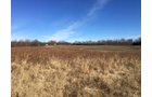 Tract 1 - Gibson & Pike Counties, Indiana Farmland - AUCTION IS CANCELED!!
ABSOLUTE LAND AUCTION WITHOUT RESERVE - 204+/- ACRES OFFERED IN 7 TRACTS IN GIBSON & PIKE COUNTIES, INDIANA