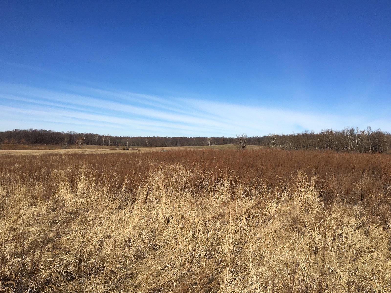 Gibson & Pike Counties, Indiana Farmland - AUCTION IS CANCELED!!
ABSOLUTE LAND AUCTION WITHOUT RESERVE - 204+/- ACRES OFFERED IN 7 TRACTS IN GIBSON & PIKE COUNTIES, INDIANA