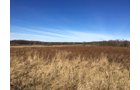 Gibson & Pike Counties, Indiana Farmland - AUCTION IS CANCELED!!
ABSOLUTE LAND AUCTION WITHOUT RESERVE - 204+/- ACRES OFFERED IN 7 TRACTS IN GIBSON & PIKE COUNTIES, INDIANA