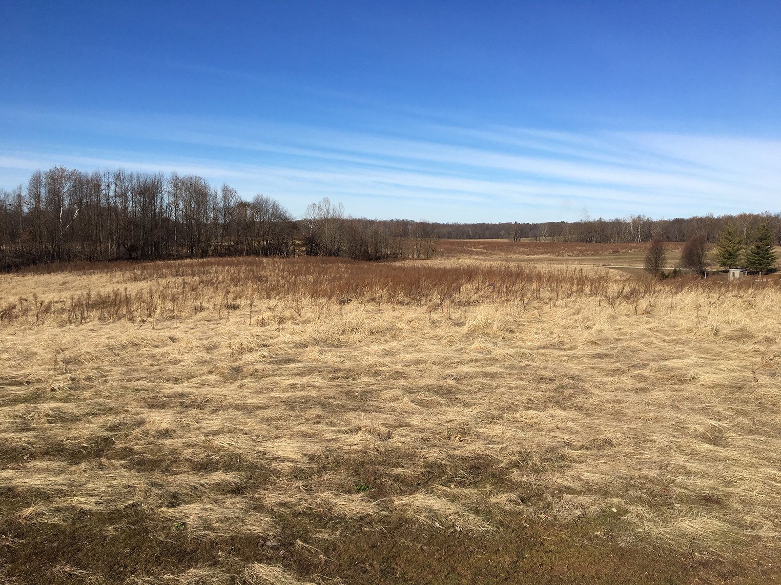 Gibson & Pike Counties, Indiana Farmland - AUCTION IS CANCELED!!
ABSOLUTE LAND AUCTION WITHOUT RESERVE - 204+/- ACRES OFFERED IN 7 TRACTS IN GIBSON & PIKE COUNTIES, INDIANA